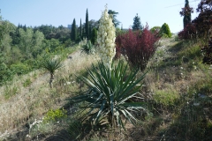 National Botanical Garden of Georgia