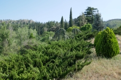 National Botanical Garden of Georgia, Tbilisi