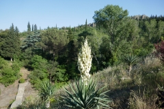 National Botanical Garden of Georgia, Tbilisi