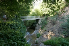 National Botanical Garden of Georgia in Tbilisi city