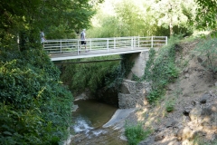 National Botanical Garden of Georgia