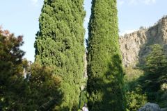 P1050857