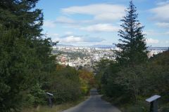 P1070637
