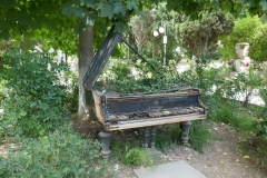 Rose Garden