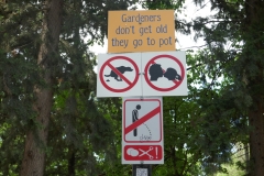 Rose Garden park