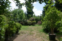 Rose Garden park in Tbilisi
