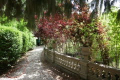 Rose Garden