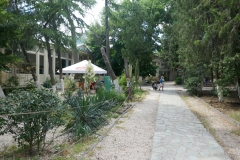 Rose Garden