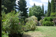 Rose Garden park in Tbilisi