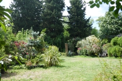 Rose Garden