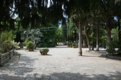Rose Garden