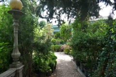 Rose Garden