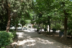 Rose Garden