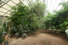 P1070120
