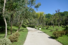 P1070122