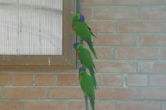 P1070124