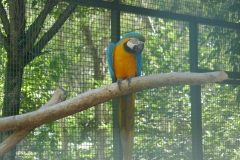 P1070140