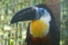 P1070152