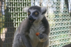 P1070174