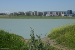 Tbilisi sea