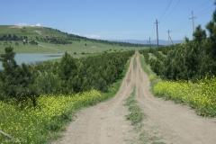 Road near Tbilisi reservoir