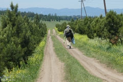Road near Tbilisi reservoir