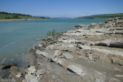 Tbilisi sea