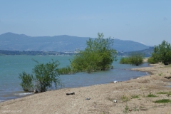 Tbilisi sea