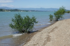 Tbilisi reservoir
