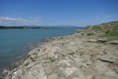Tbilisi sea