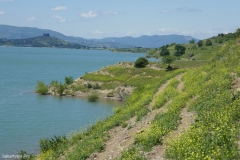 Tbilisi reservoir