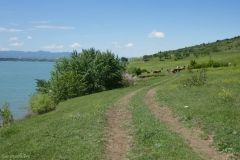Road near Tbilisi sea