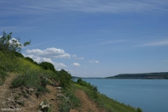 Tbilisi sea