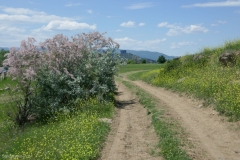 Road near Tbilisi reservoir