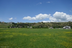 Glade near Tbilisi reservoir