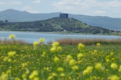Tbilisi sea