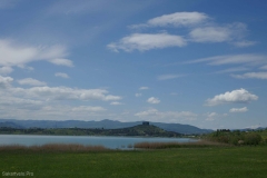 Tbilisi sea