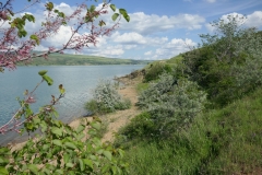 Tbilisi sea