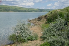 Tbilisi reservoir
