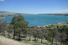 Tbilisi sea