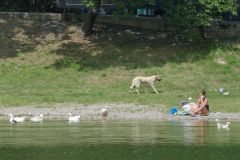 Turtle Lake