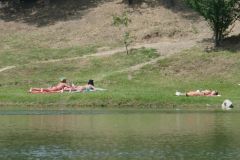 Turtle Lake (Tbilisi)